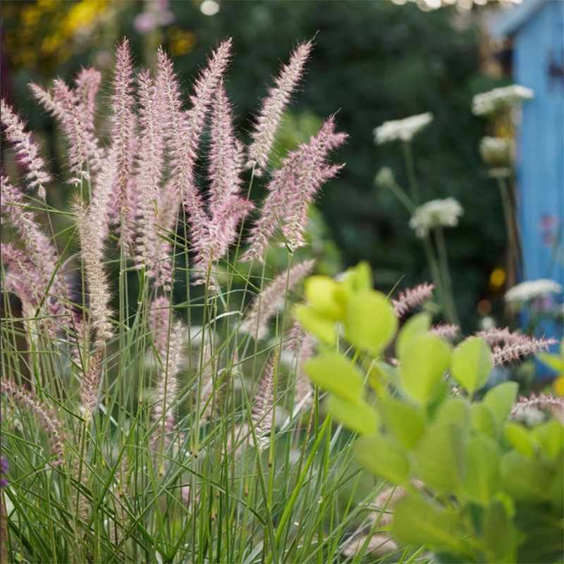 KODAK EASYSHARE Z712