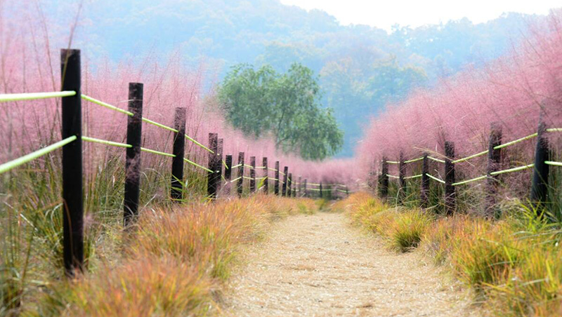 How can Entrepreneurs Create  a Vision?