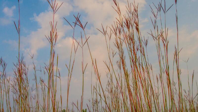 When would you choose  not to Use a Broker?