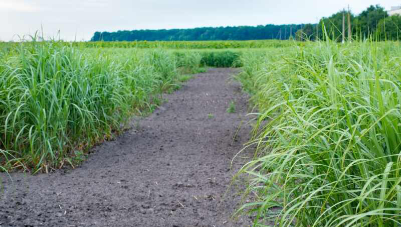 Chinas Plastic Machinery