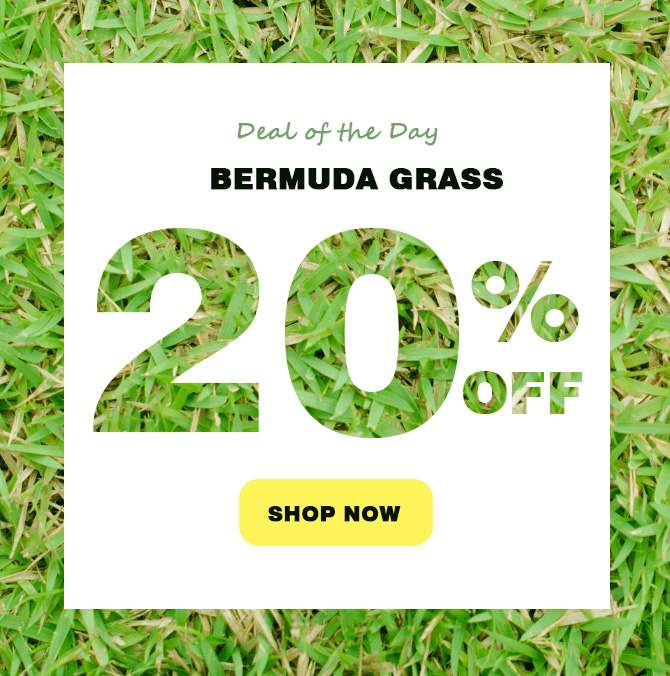  首页中部广告图